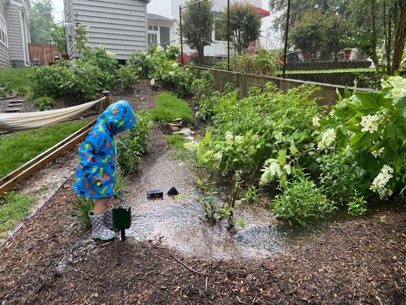 These 10 Front Yard And Patio Looks Are Big In Washington DC Right Now - Decor Hint Sustainable Rain Gardens