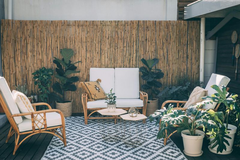 Expensive Outdoor Rugs That Fade Quickly In Sunlight