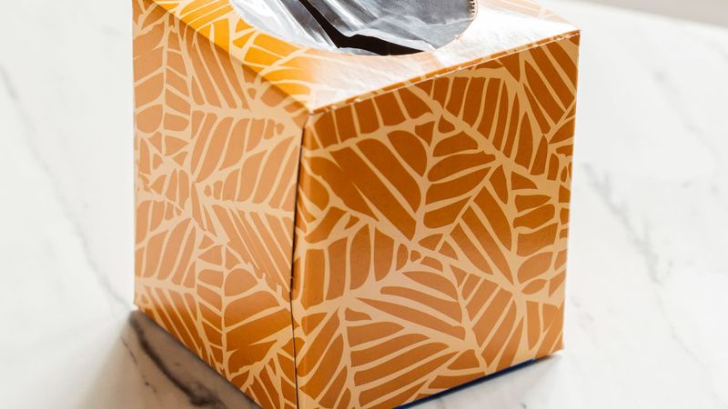 Repurposed Tissue Boxes for Plastic Bags