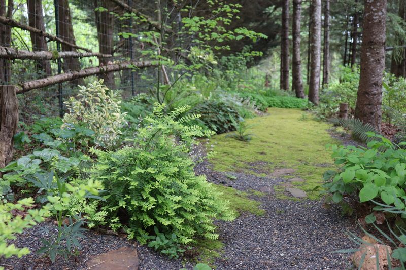 Weekend Home Projects Popular With DIYers In Oregon - Decor Hint Moss Garden Creation