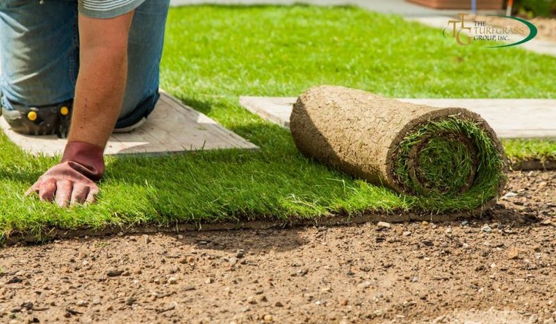 10 Landscaping Projects That Don’t Pay Off, According To Real Estate Pros (And 8 That Totally Do) - Decor Hint Fresh Sod or Well-Kept Grass