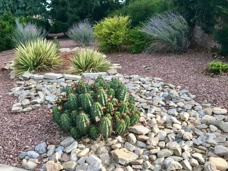 Drought-Resistant Landscaping Magic