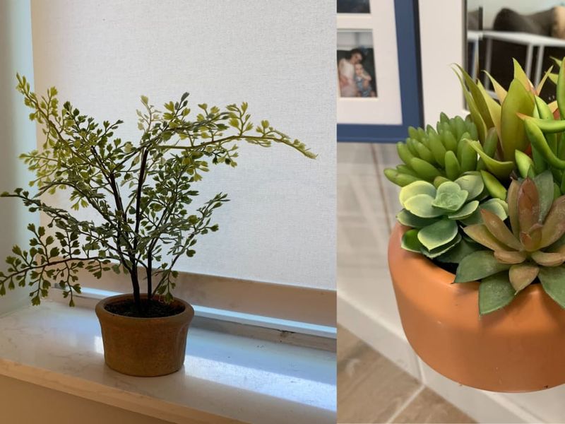 Fake Plants That Collect Dust