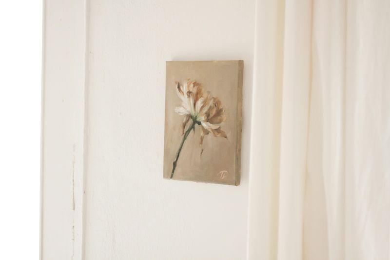 Neutral Wall Paint