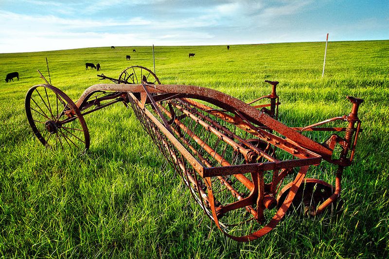11 Country-Inspired Curb Appeal Ideas From Kentucky Homes - Decor Hint Vintage Farm Equipment as Garden Art