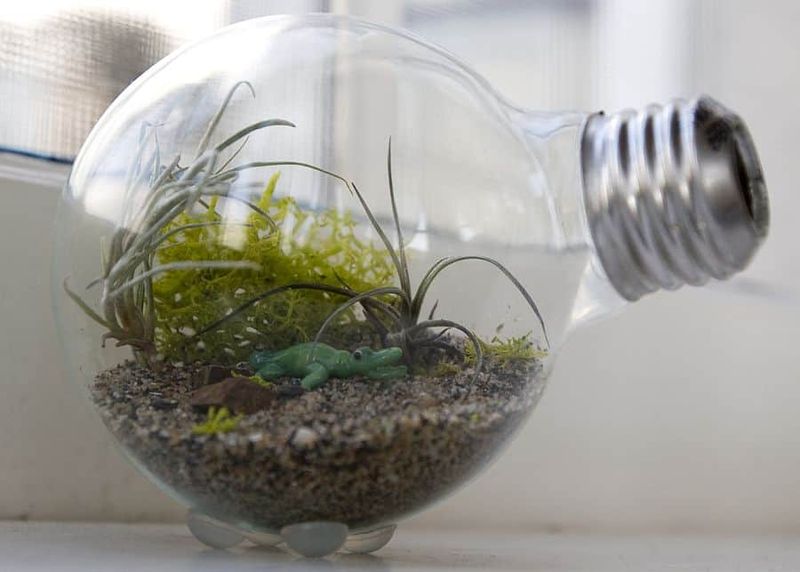 27 Quick, Easy Upcycling Hacks Anyone Can Do - Decor Hint Lightbulb Mini Terrariums