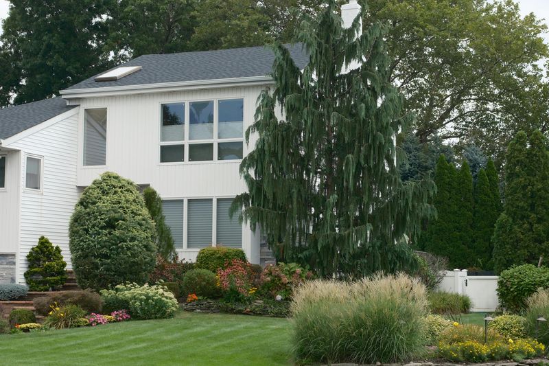 Inconsistent Plant Heights