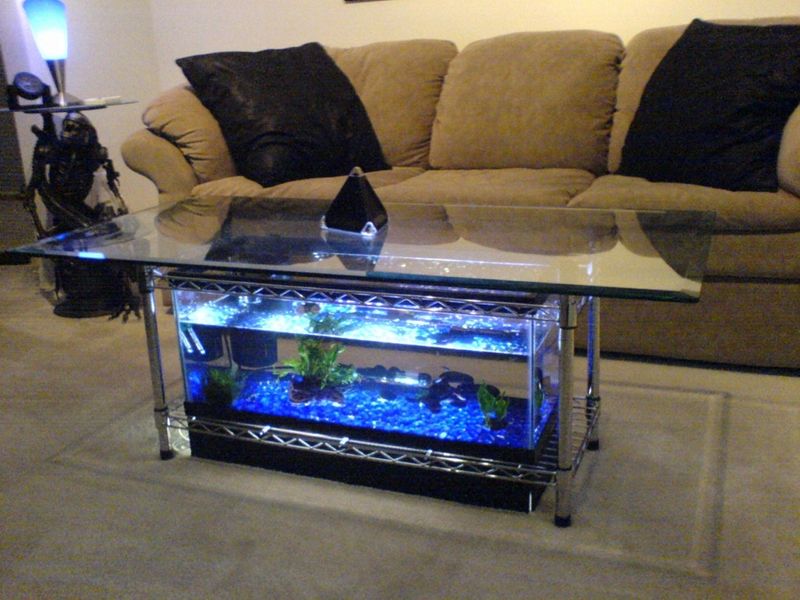 Lucite Is The Stylish Furniture With Lasting Appeal, Designers Share Top Styling Tips - Decor Hint Underwater Aquarium Coffee Table That Doubles As Art