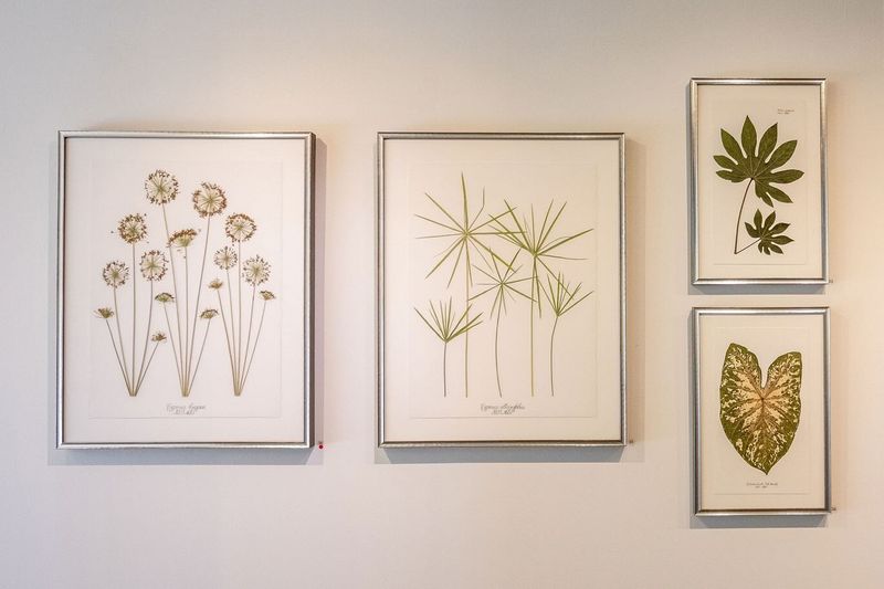 8 Collectible Pieces Interior Designers Love In 2025 - Decor Hint Vintage Botanical Prints