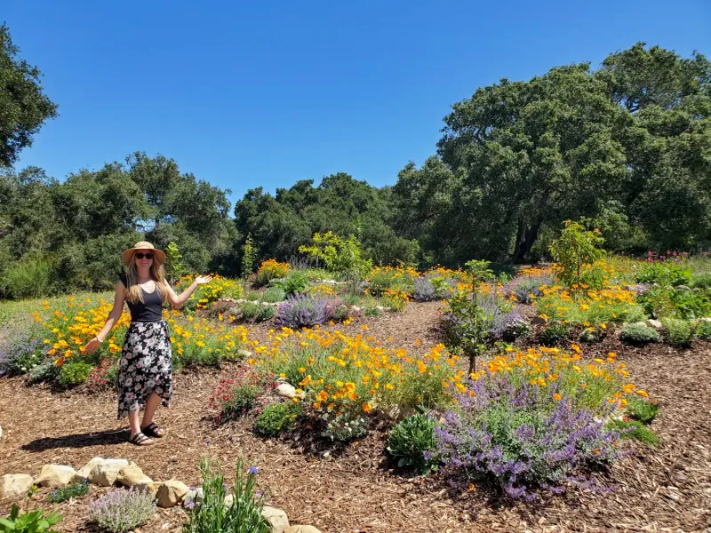 21 Sustainable Front Yard Landscaping Ideas With Rocks And Mulch - Decor Hint Mulched Native Plant Berms
