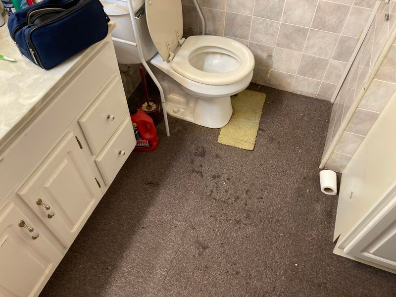 10 Designs That Make Your Home Look Tacky (And 3 That Are Always A No) - Decor Hint Carpeted Bathrooms