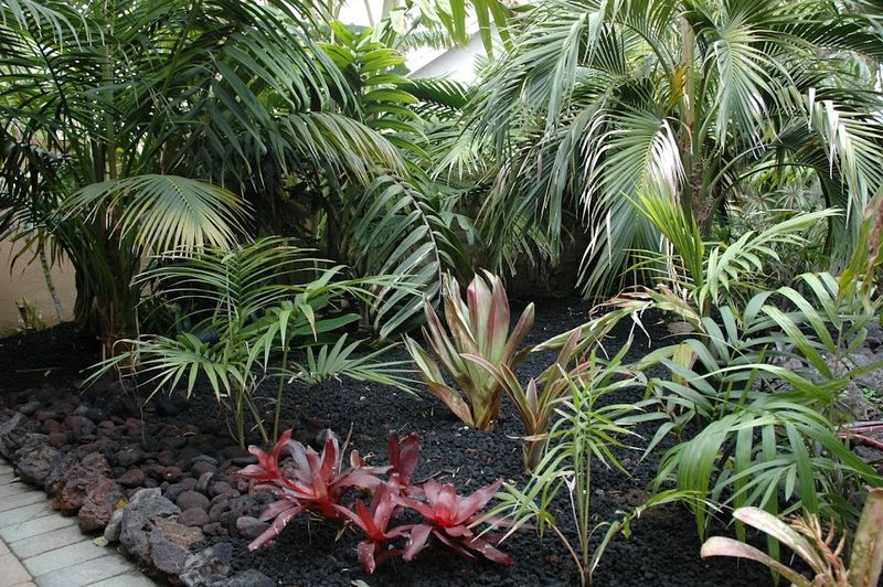 11 Backyards In Hawaii That Always Feel Like A Personal Escape - Decor Hint Lava Rock Planters And Retaining Walls