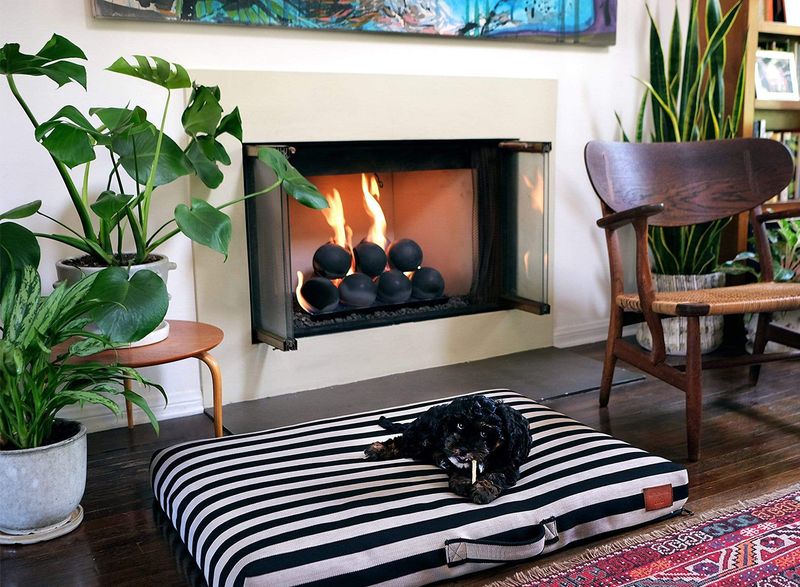 12 Things To Keep Out Of Your Living Room, According To Designers - Decor Hint Visible Pet Accessories