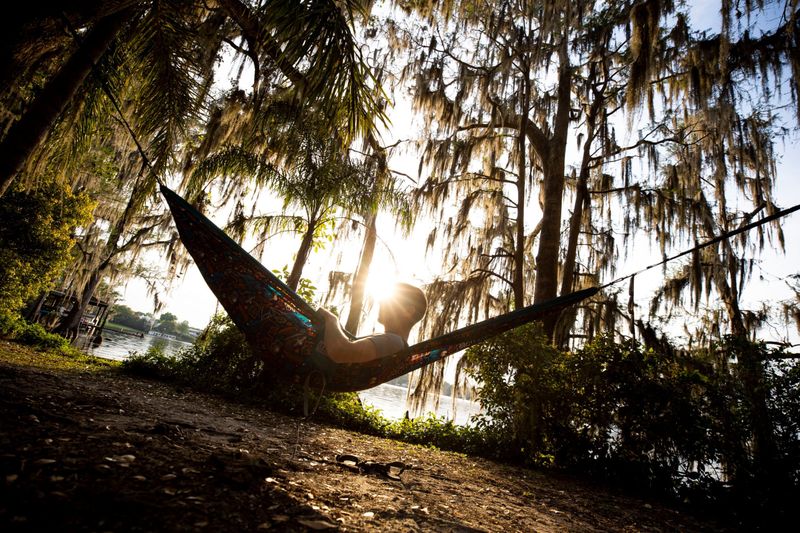 12 Stunning Outdoor Spaces Turning Heads Across Florida Neighborhoods - Decor Hint Hammock Corners Shaded By Large Oak Trees