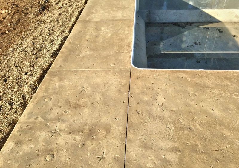 Shell-Inspired Concrete Walkways