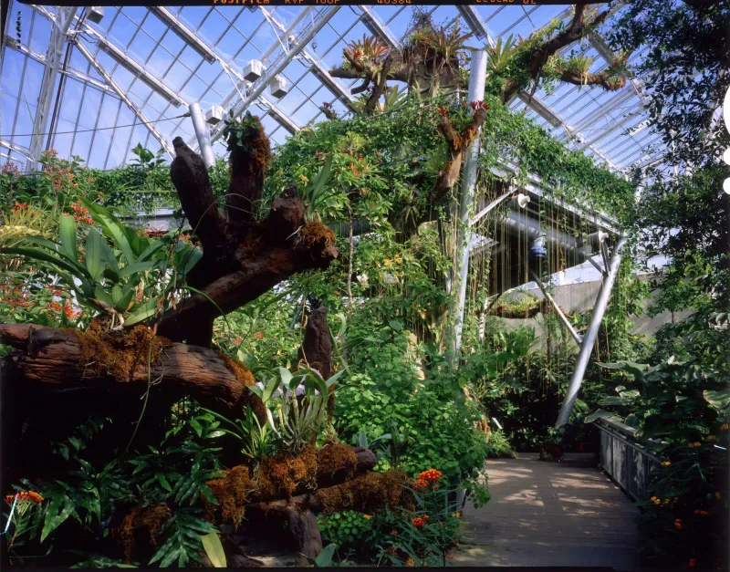 18 Photos That Show Inside A Mansion That Belonged To One Of America’s Wealthiest Families - Decor Hint Indoor Conservatory Filled with Exotic Plants