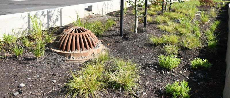 US Homeowners Beware 17 Backyard Items That Might Be Forbidden In The Near Future - Decor Hint Backyard roller rinks or asphalt courts