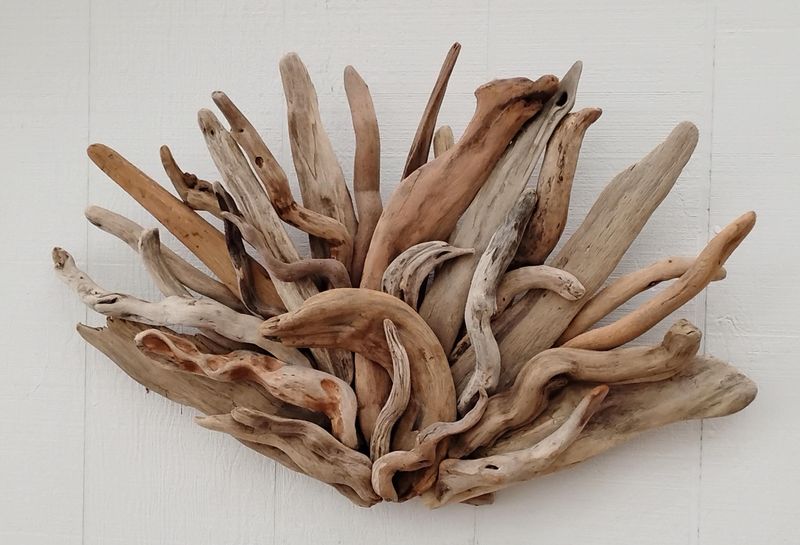 10 Fresh Coastal Decorating Ideas From California Interiors - Decor Hint Driftwood Statement Pieces