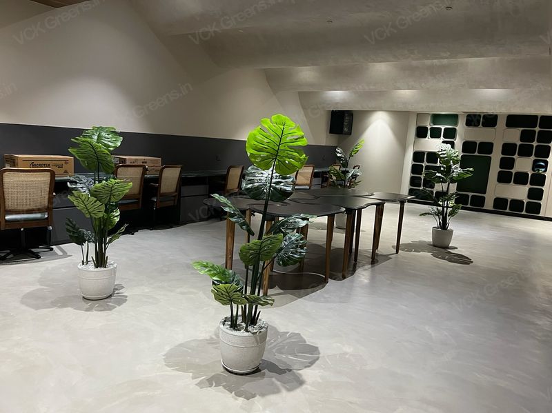 Fake plants that collect dust