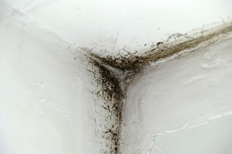 Visible Water Damage Or Mold