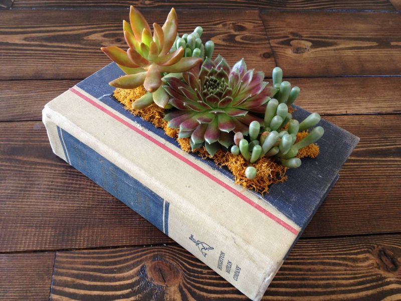 27 Quick, Easy Upcycling Hacks Anyone Can Do - Decor Hint Book Planters