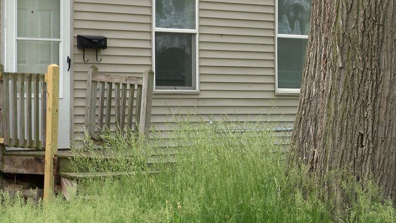 8 Outdoor Spaces In Washington Neighborhoods That Need Serious Improvement - Decor Hint Overgrown Front Lawns