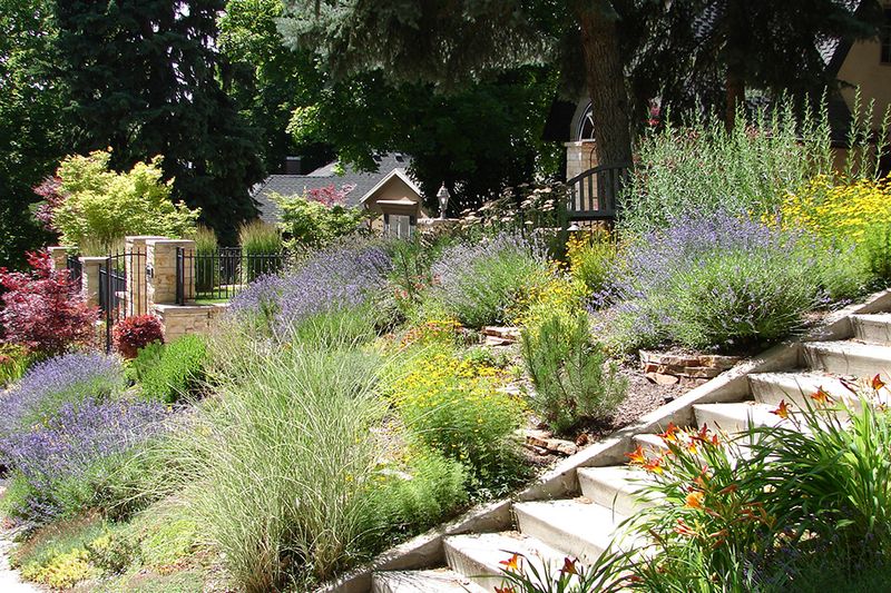 Landscaping With Native Texas Plants