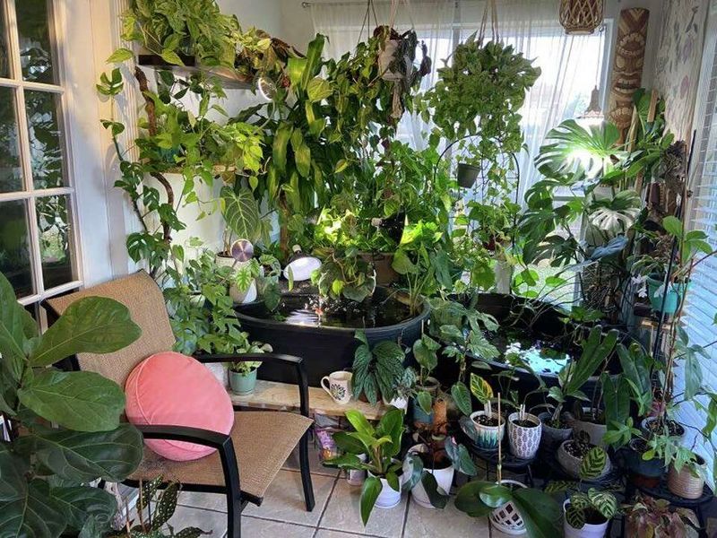 Designers Reveal The Most Annoying Style Pet Peeves Across Generations - Decor Hint Gen Z's Excessive Plant Hoarding