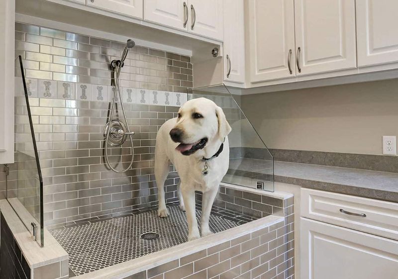 Creature Comforts: How Pets Are Influencing Home Design Trends - Decor Hint Dedicated Pet Washing Stations