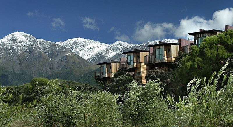 14 Luxury Treetop Homes For Living The High Life - Decor Hint Hapuku Lodge Treehouses, New Zealand