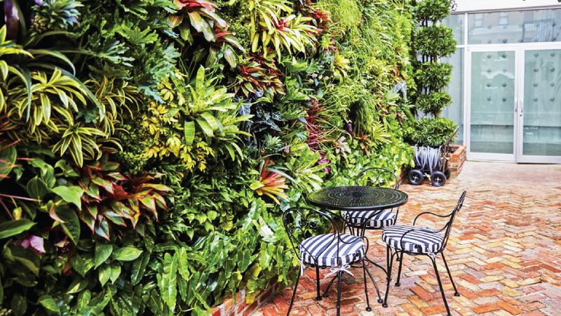 10 Desert-Friendly Exterior Design Ideas Perfect For Miami Homes - Decor Hint Vertical Gardens and Living Walls