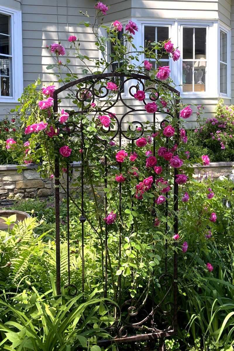 Create A Lush Escape 23 Gorgeous Designs For Small Backyards - Decor Hint Trellis with Climbing Roses