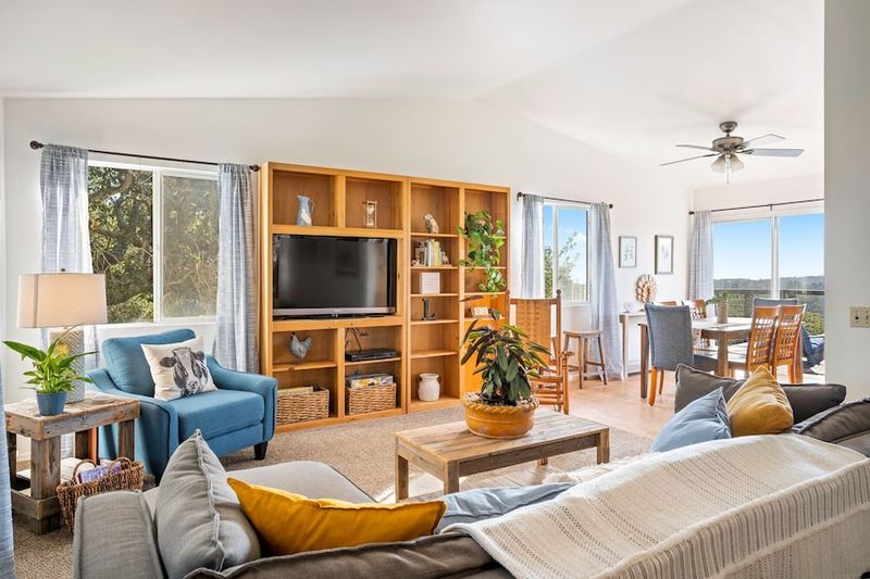 6 Living Room Items In San Luis Obispo Homes That Have Lost Value And 5 That Never Had It - Decor Hint DVD Collections Gathering Dust