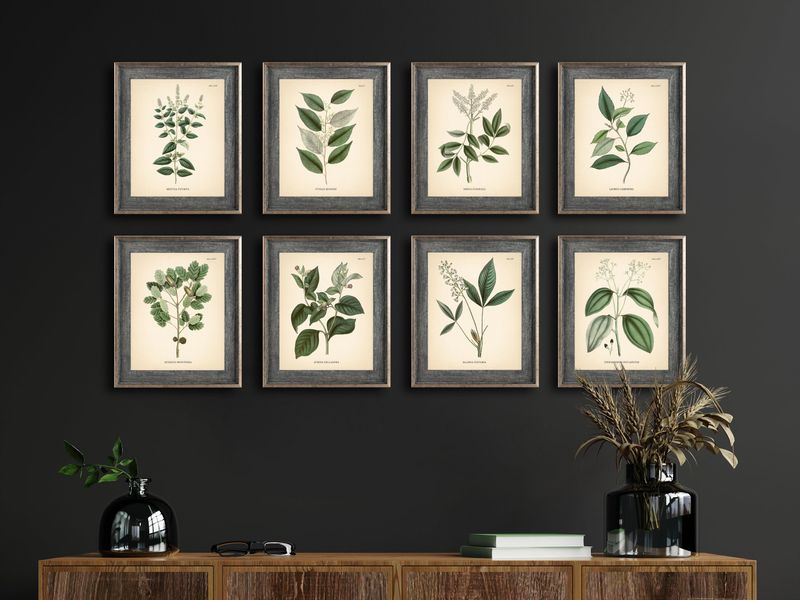 22 French Country Decor Ideas For Every Room - Decor Hint Botanical Prints