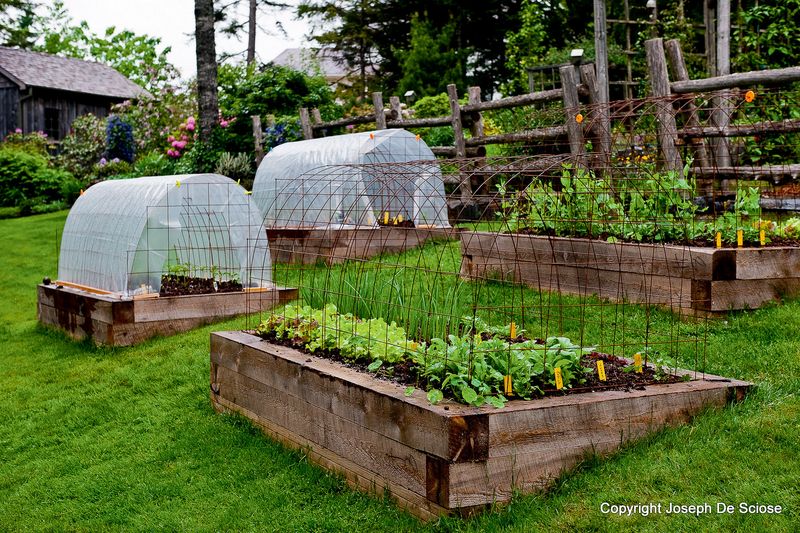 10 Outdoor Space Styles Showing Up In Washington Homes And 4 That Are Starting To Disappear - Decor Hint Year-Round Vegetable Gardens