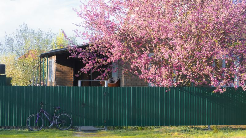 Unkempt Fencing