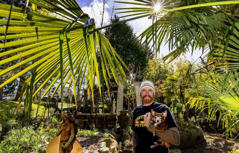 10 Landscaping Projects That Don’t Pay Off, According To Real Estate Pros (And 8 That Totally Do) - Decor Hint Exotic Plants That Don’t Thrive Locally