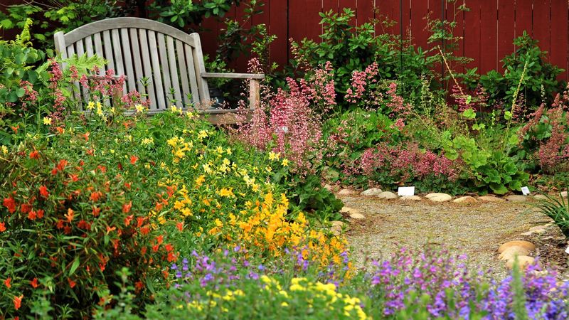 11 Secrets Behind Serene Yards In Iowa - Decor Hint Wildlife-Friendly Spaces