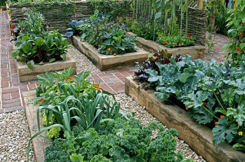 Weekend Home Projects Georgia DIYers Can't Stop Doing - Decor Hint Raised Garden Beds for Southern Vegetables