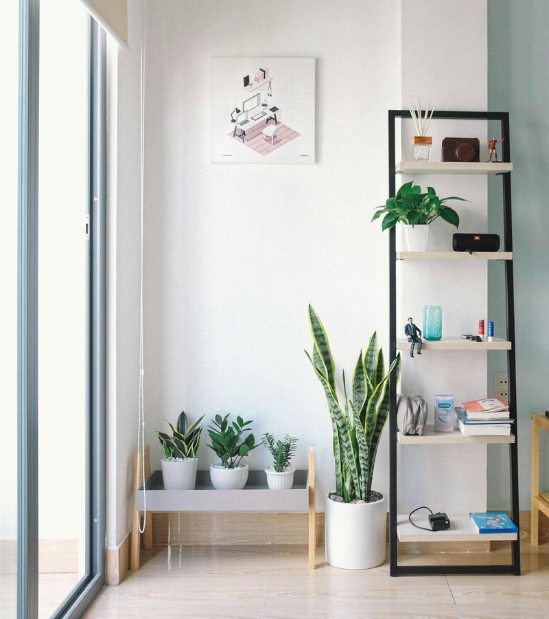 10+ Interior Design Tips That Can Improve Your Home - Decor Hint Incorporate Natural Elements