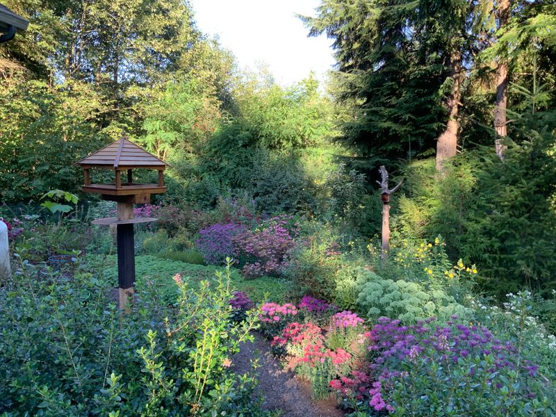 10 Outdoor Space Styles Showing Up In Washington Homes And 4 That Are Starting To Disappear - Decor Hint Backyard Wildlife Habitats