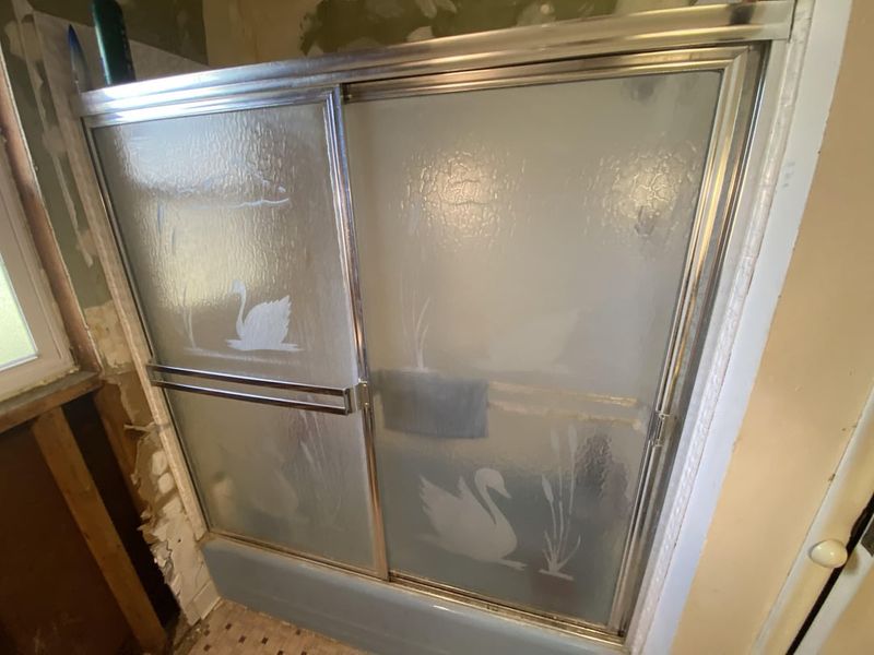 Shower Doors With Frosted Swans