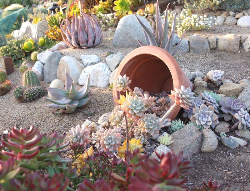 These 10 Las Vegas Homes Prove Coastal-Inspired Curb Appeal Can Work Anywhere - Decor Hint Shell-Inspired Landscaping Rocks The Desert Setting