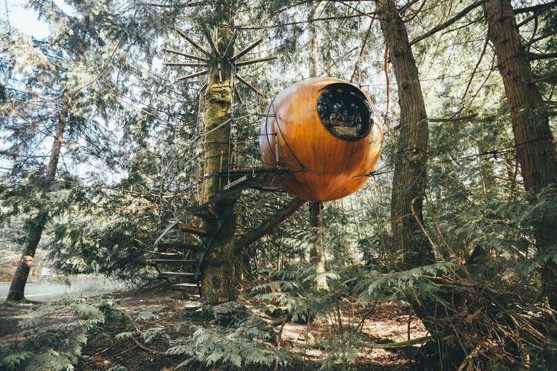 14 Luxury Treetop Homes For Living The High Life - Decor Hint Free Spirit Spheres on Vancouver Island