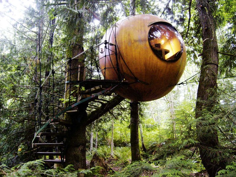The Suspended Spheres of Vancouver Island's Free Spirit Retreats