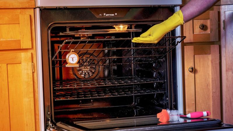 How Often Should You Clean Your Oven Racks? (And Why You're Probably Doing It Wrong) - Decor Hint Signs Your Oven Racks Need Cleaning