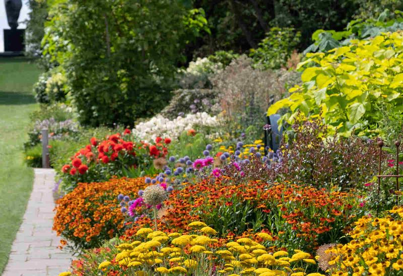 Single-Species Planting