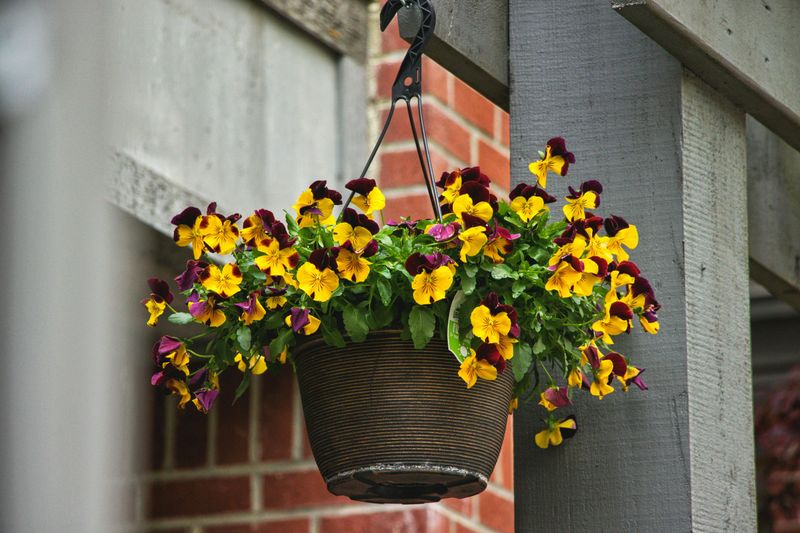 Vertical Garden Wonders