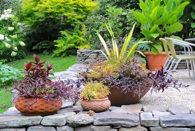 Mississippi Designers Share 6 Porch No-Gos And 8 Outdoor Favorites - Decor Hint Potted Native Plants