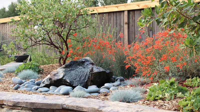 8 Things California Designers Warn You To Avoid On Your Porch (Plus 8 Must-Have Items For Instant Curb Appeal) - Decor Hint Native California Plant Collection